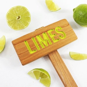 LIMES Rustic Tree Sign, Hand Routed, Citrus Tree Garden Sign, Tree Markers, Custom Garden Sign, Personalized Garden Marker, Outdoor Marker