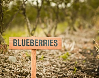 BLUEBERRIES Sign, Fruit Marker, Garden Sign, Plant Label, Blueberry, Outdoor Sign, Yard Art, Fruit, Made in Oregon, Perennial Fruit Sign