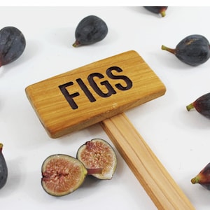 FIGS Rustic Tree Sign, Hand Routed, Tree Marker, Summer Fruit Tree Sign, Garden Markers, Custom Garden Sign, Personalized Garden Marker