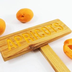 APRICOTS Rustic Garden Tree Sign: Hand Routed Plant Marker, Tree Marker, Orchard Tree Sign, Summer Fruit, Custom Garden Sign, Personalized