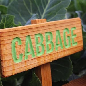 May include: A wooden sign with the word "CABBAGE" painted in green letters. The sign is attached to a wooden stake and is placed in front of a patch of green cabbage plants.