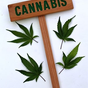 CANNABIS Sign, Marijuana Marker, Medicinal Herbs Signage, Grow Room Sign, Custom Sign, Personalized Marker, Garden Art, Indoor Decor image 3