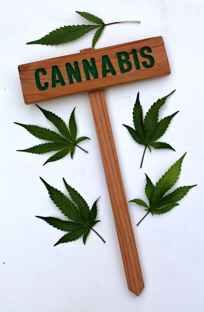 CANNABIS Sign, Marijuana Marker, Medicinal Herbs Signage, Grow Room Sign, Custom Sign, Personalized Marker, Garden Art, Indoor Decor image 3