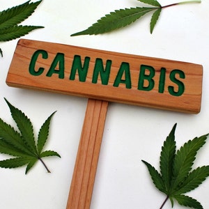 CANNABIS Sign, Marijuana Marker, Medicinal Herbs Signage, Grow Room Sign, Custom Sign, Personalized Marker, Garden Art, Indoor Decor image 2