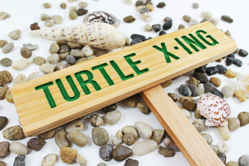 TURTLE X-ING Caution Sign, TORTOISE Yard Sign, Hand Routed Green Sign, Animal Signage, Custom Sign, Personalized Marker, Outdoor Signage image 1