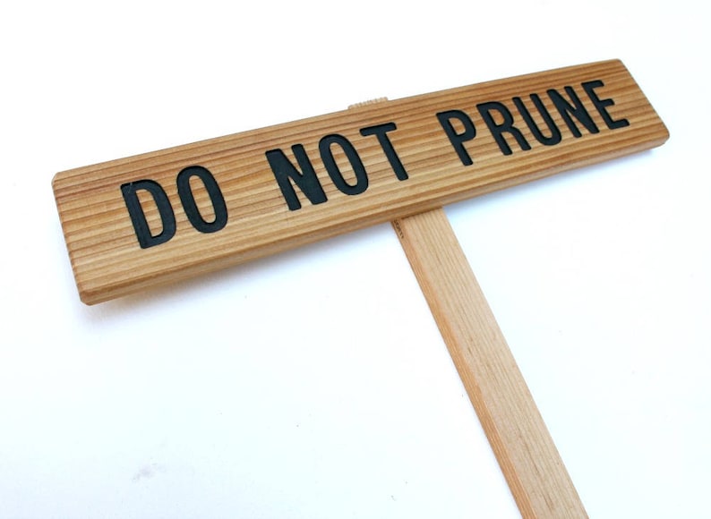 Do Not Prune Sign