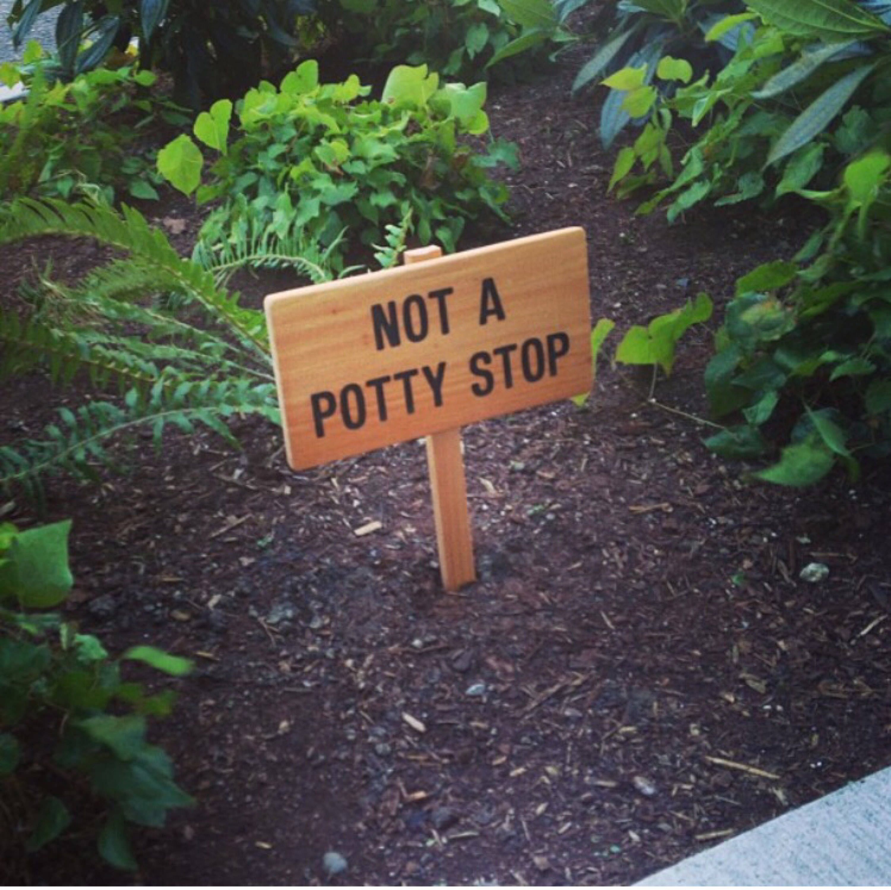 NOT a POTTY STOP Dog Walker Sign No Poop Sign Cedar Wood Etsy