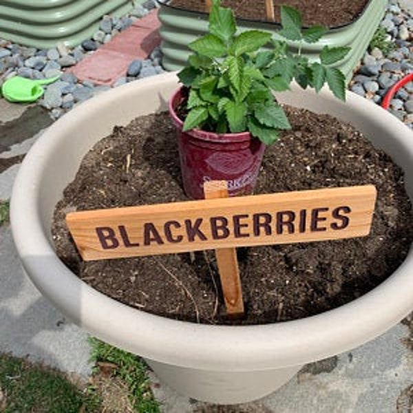 BLACKBERRIES Garden Sign, Summer Berries, Hand Routed Plant Marker, Oregon Summer Fruit, Custom Garden Sign, Personalized Garden Marker