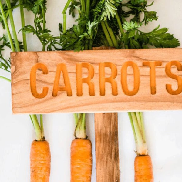 CARROTS Garden Sign, Outdoor Sign, Yard Art, Vegetable Sign, Root Marker, Plant Label, Veggie Marker, Carrot, Garden Marker, Garden Decor