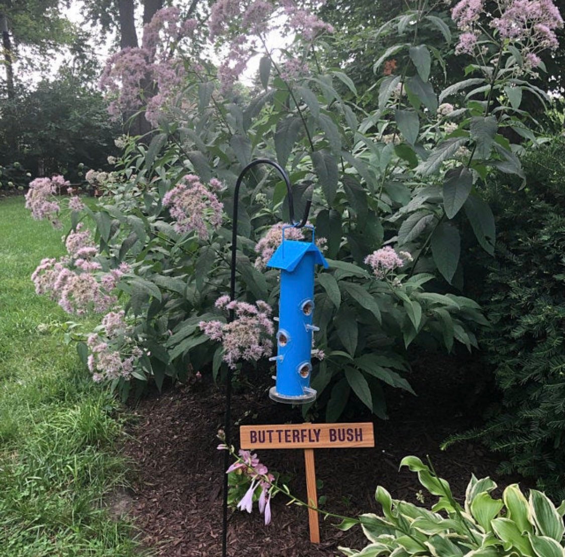 BUTTERFLY BUSH Sign, Flower Marker, Outdoor Sign, Yard Art, Plant Label ...