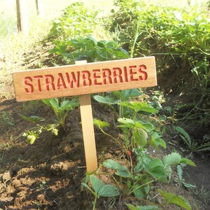 STRAWBERRIES Garden Sign, Painted & Oil Sealed Cedar Wood: Hand Routed, Red Garden Sign, Summer Fruit, Gardener Gift, Custom Garden Sign image 4