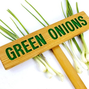 GREEN ONIONS, Garden marker, Vegetable signs, Cedar wood, Painted sign, Custom Garden Sign, Personalized Garden Marker, Outdoor Sign image 1