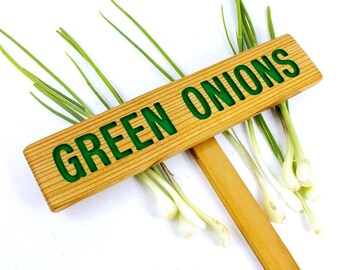 GROENE UIEN, Tuinmarkering, Plantaardige borden, Cederhout, Geschilderd bord, Bord aangepaste tuin, Gepersonaliseerde tuinmarkering, Bord buiten