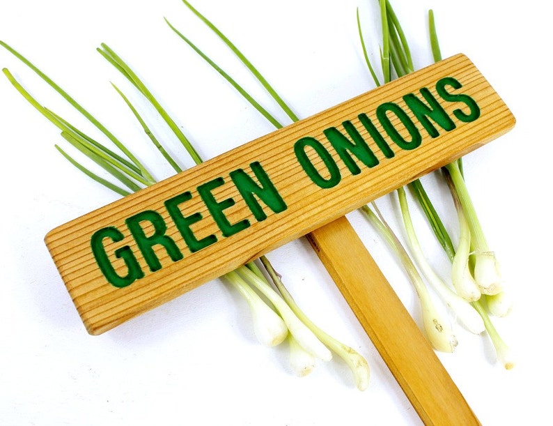GREEN ONIONS, Garden marker, Vegetable signs, Cedar wood, Painted sign, Custom Garden Sign, Personalized Garden Marker, Outdoor Sign image 1