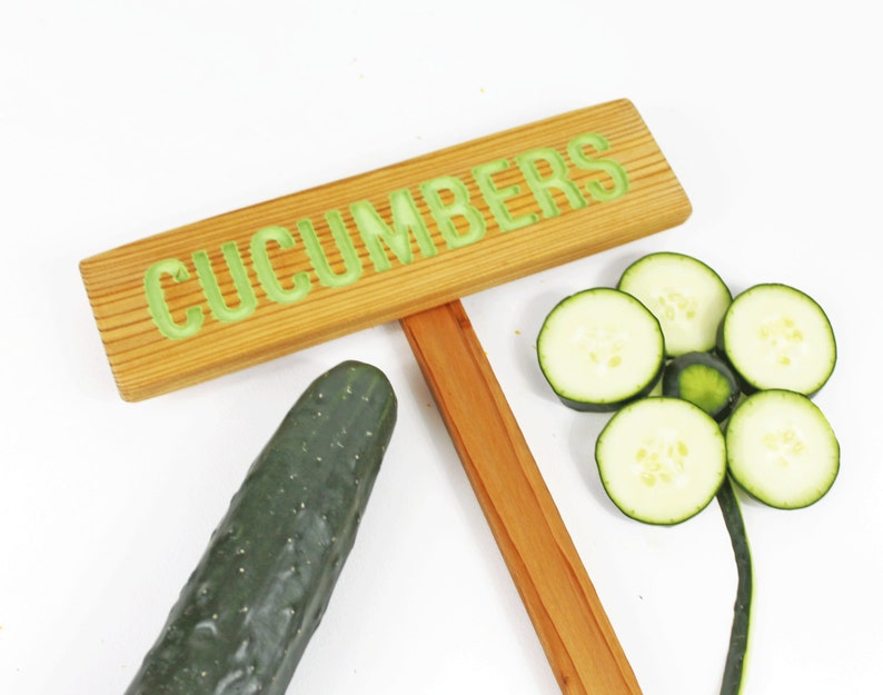 CUCUMBERS Garden Sign, Painted & Oil Sealed Cedar Wood: Hand Routed Sign, Vegetable Plant Garden Markers, Custom Garden Sign, Personalized image 3