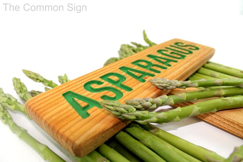 ASPARAGUS Garden Sign, Plant Label, Outdoor Sign, Yard Art, Spring Vegetable Sign, Perennial Marker, Asparagus, Veggie Sign image 1