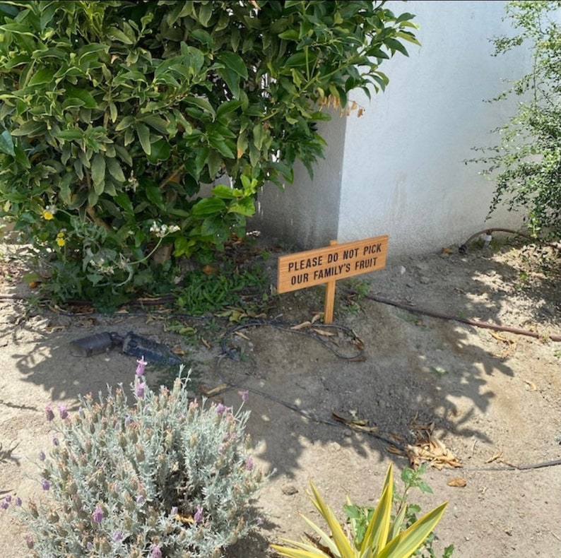 Please Do Not Pick Our Family's Fruit No Picking Please Etsy