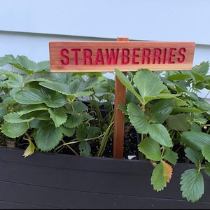 STRAWBERRIES Garden Sign, Painted & Oil Sealed Cedar Wood: Hand Routed, Red Garden Sign, Summer Fruit, Gardener Gift, Custom Garden Sign image 1