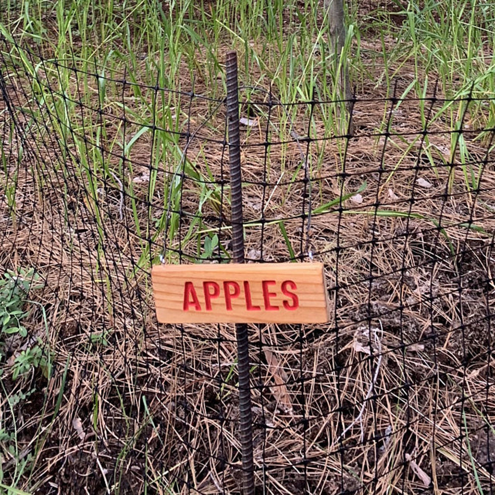 APPLES Sign, Outdoor Sign, Yard Art, Fruit Tree Marker, Orchard Sign ...