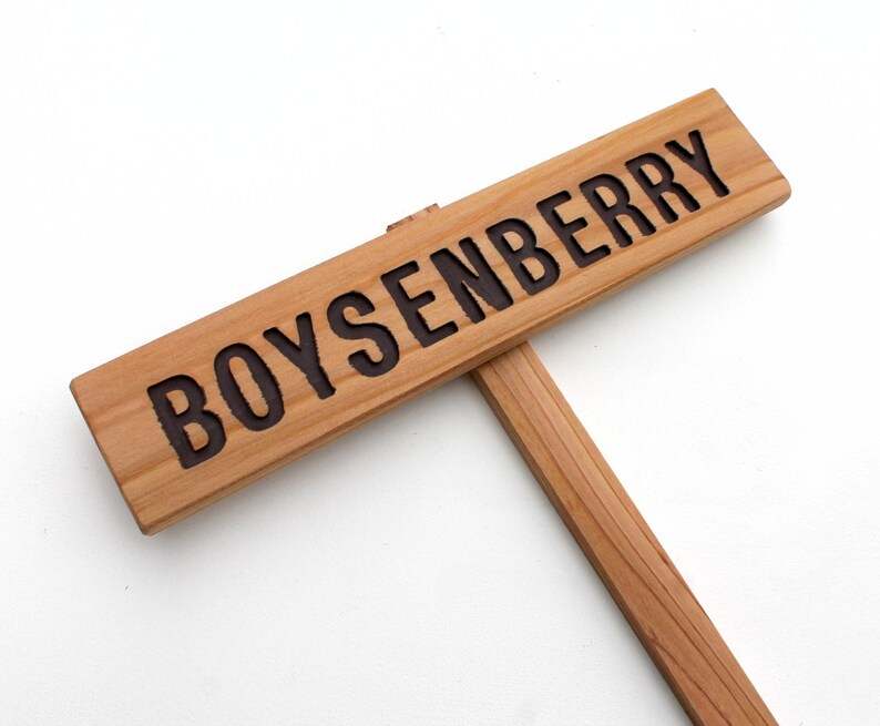 BOYSENBERRY Garden Sign, Berry Marker, Fruit Sign, Outdoor Signage ...