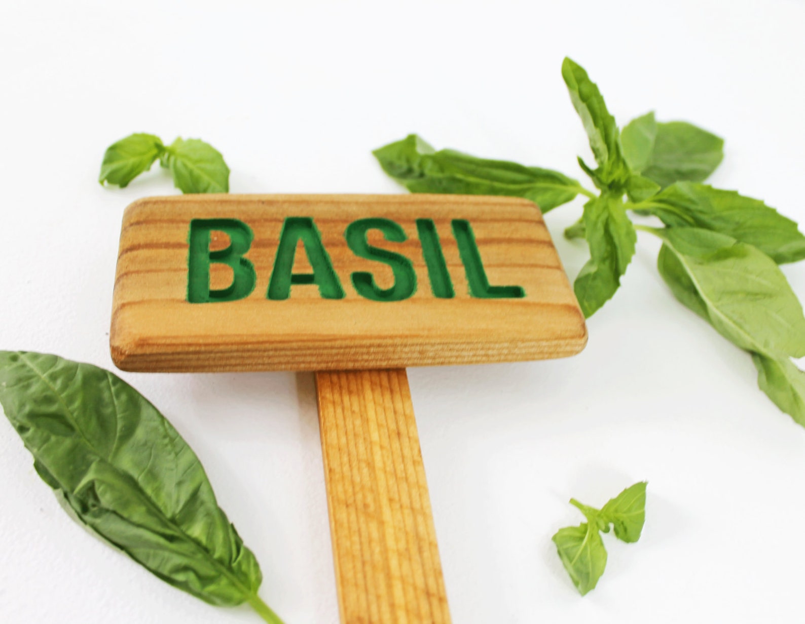 BASIL Herb Garden Sign Painted & Oil Sealed Cedar Wood Hand Etsy