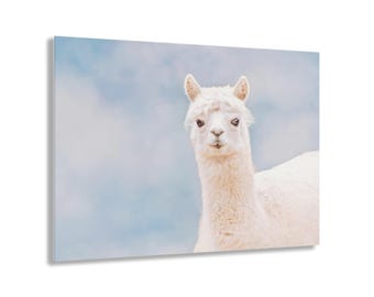 White Alpaca Against Blue Sky - Acrylic Wall Decor -Children's Bedroom -Farm Animal Art