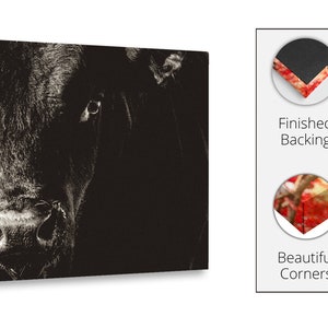 May include: Monochrome canvas print depicting a bull's face, focusing on its eyes and nose. The artwork is ready to hang and features finished backing and beautiful corners. The canvas is an artist canvas.