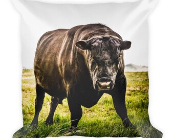 Cow Pillow -Square Decorative Throw Pillow -Black Angus Bull Photography -Cow Art -Animal Art Gift Idea - Farm House Home Decor Cow Print