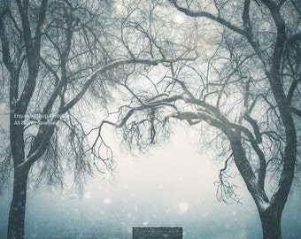 Park Bench Under Snowing Sky & Bare Trees -Winter Storm -Minimalist Wall Art -Fine Art Nature Photo Print or Canvas Wrap -Square Crop Format