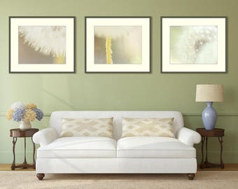 Dreamy Dandelion Dewdrops Fine Art Print Triptych Collection -Nature Floral Wall Art Home Decor -Soft Fluffy -Living Room Nursery Bedroom