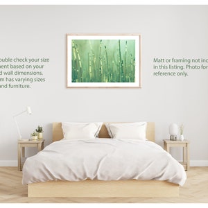 Misty Reeds Horsetail Grass Fine Art Nature Print Peaceful Nature Spring Green Serenity Minimalist Zen Wall Art Photography Home Decor image 4