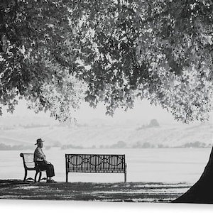 May include: A black and white photo of a person sitting on a bench under a large tree. The person is wearing a hat and is looking out at a lake or river. The bench is empty on the other side.