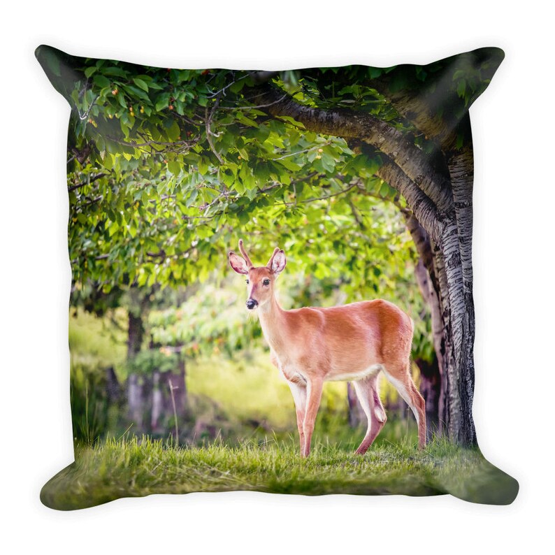 Square Pillow image 1