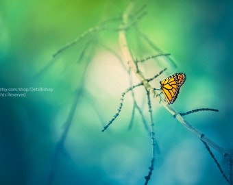 Monarch Butterfly Journey -Canvas Gallery Wrap -Dreamy Nature Photography -Butterfly Bokeh Tree Branch -Home Decor Wall Art -Blue & Green