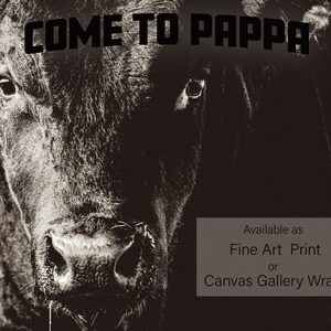 May include: Sepia-toned close-up of a black bull's face, with the text "COME TO PAPPA" across the top. The image is available as a fine art print or canvas gallery wrap.