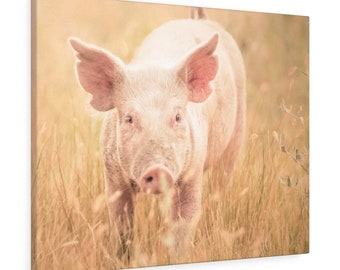 Canvas Gallery Wrap -Pretty In Pink Baby Piglet Photograph -Country Farmhouse Home Wall Decor -Child Bedroom Decor -Ready To Hang Artwork