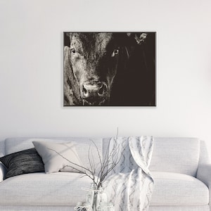 May include: Monochrome framed print featuring a close-up of a cow's face. The image highlights the animal's features, with a focus on its eyes and nose. The artwork is displayed above a white sofa, adding a touch of rustic charm to the room.