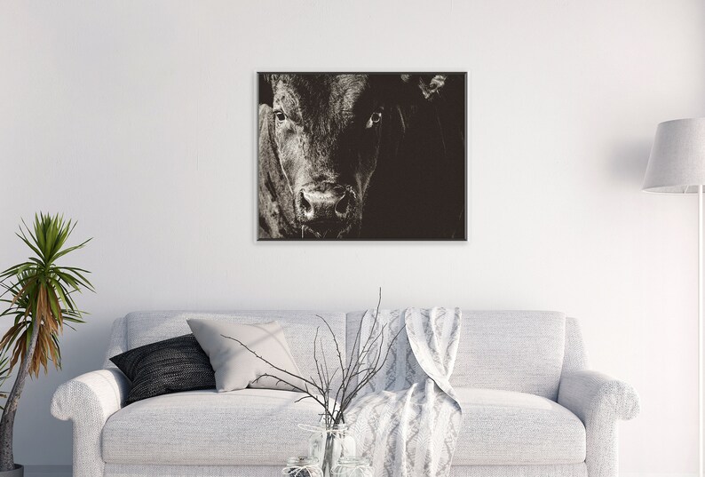 May include: Monochrome framed print featuring a close-up of a cow's face. The image highlights the animal's features, with a focus on its eyes and nose. The artwork is displayed above a white sofa, adding a touch of rustic charm to the room.