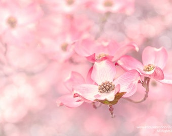 Spring Pink Blossom-Dogwood Flower Petals Wall Art Soft Dreamy Bokeh Fine Art Nature Photography Print -Home Decor Living Room Girls Bedroom