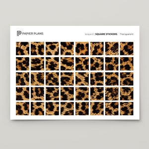 Può includere: Un foglio di 40 adesivi quadrati con un motivo leopardato marrone e nero. La parte superiore del foglio riporta il testo PAPIER PLANS, leopard | SQUARE STICKERS, Transparent. Il testo in basso recita SQUARE STICKERS 40 Stickers per Sheet.
