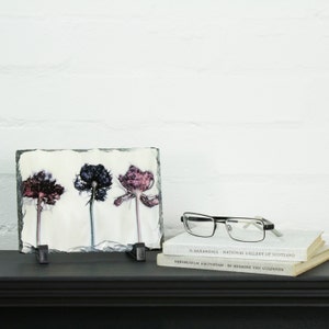 May include: A slate coaster with a white background and three black and pink pressed flowers. The coaster is on a black shelf with two books stacked on top of each other. The top book has the text "D. Baxandall - National Gallery of Scotland" and the bottom book has the text "Rijksmuseum Amsterdam - by Hermine van Guldenen".
