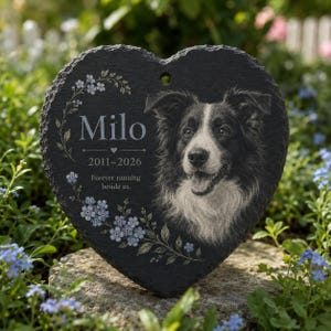 May include: A heart-shaped black slate memorial plaque featuring an engraved portrait of a Border Collie. The text reads Milo, 2011-2026, and Forever running beside us, surrounded by a delicate floral vine design with small blue flowers.