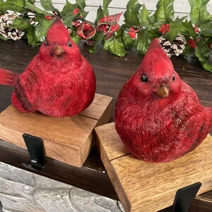 May include: Two red cardinal bird figurines on wooden blocks with black metal hooks. The birds have textured feathers and are perched on square wooden blocks. A garland of holly and pinecones decorates the background, suggesting a holiday theme.