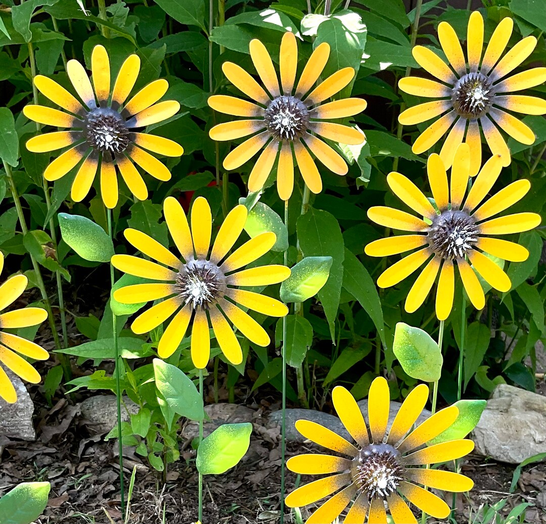 BLACK EYED SUSAN Stakes 21high/metal Flower Pot Stake/hand Painted