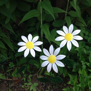 May include: Three white metal daisies with yellow centers are arranged in a garden setting. The daisies are on green stems and are surrounded by green leaves.
