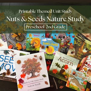 Könnte beinhalten: Eine Sammlung von Kinderbüchern mit dem Titel Nuts & Seeds Nature Study, Preschool-2nd Grade, mit Illustrationen von Eicheln, Eichhörnchen und Bäumen. Die Bücher sind von verstreuten künstlichen Herbstblättern, kleinen Zweigen und Eicheln umgeben.