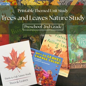 May include: A collection of children's books and a printable unit study titled Trees and Leaves Nature Study Preschool-2nd Grade. The books include The Leaf Thief, The Busy Tree, Fletcher and the Falling Leaves, and Why Do Leaves Change Color.
