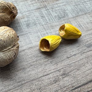 May include: Close-up of dried seed pods and yellow flower buds on a gray wooden surface. The seed pods are beige and textured, while the flower buds are yellow with a textured surface. The composition is natural and rustic.