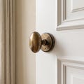 Antique Brass Privacy Door Knob Set — Vintage-Inspired Egg Shape, Georgian Style Aged Brass Interior Door Handle for Bedroom Bathroom