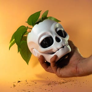 Peut inclure: Un pot de fleurs en forme de crâne blanc avec des orbites profondes et sombres ainsi qu'une cavité nasale, contenant une plante verte aux feuilles pointues. Le crâne présente une finition mate lisse et un design arrondi avec des dents visibles.